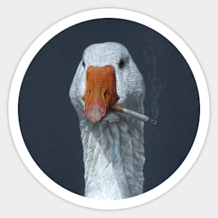 Bad goose Sticker